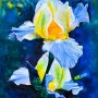 Blue Iris by Bill Lutkus
